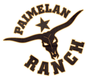 Paimelan Ranch Oy – kotisivu-uudistus ja graafinen suunnittelu logo